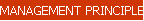 MANAGEMENT PRINCIPLES