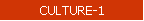 CULTURE-1