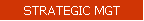 STRATEGIC MGT